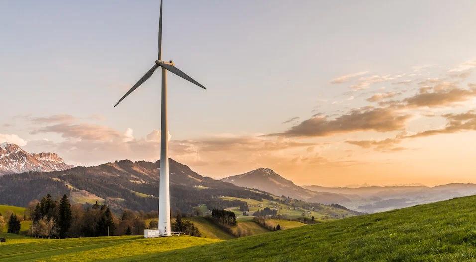 Services of Environmental Impact Assessment