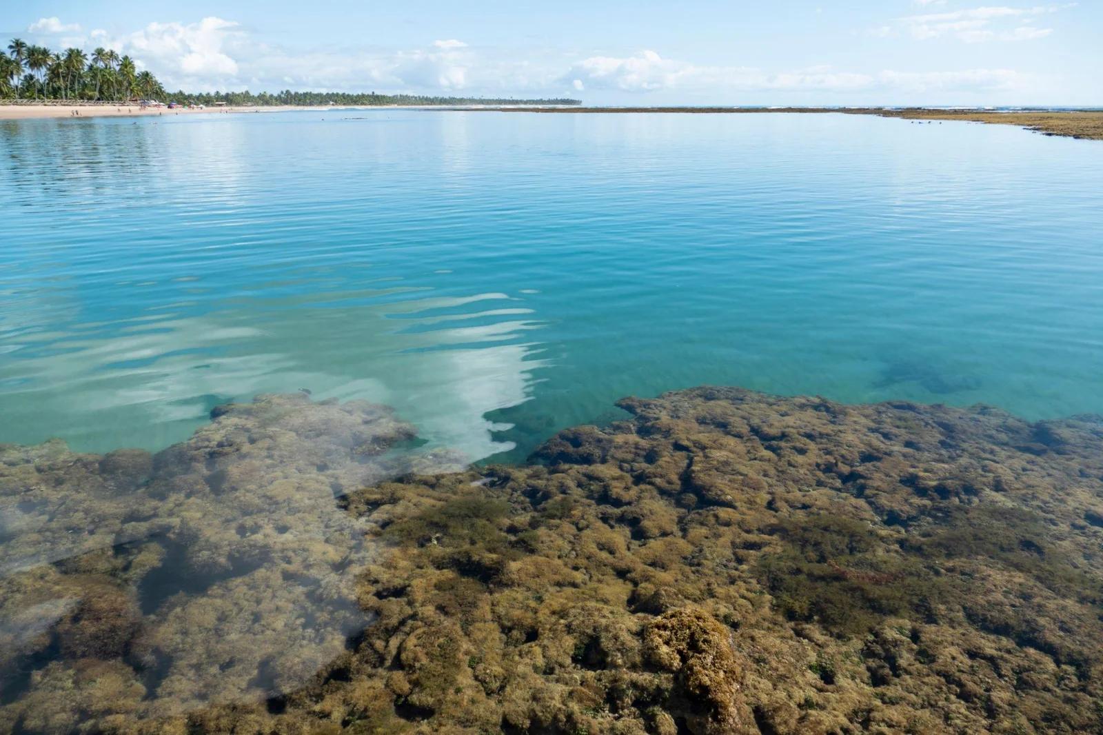 Sediment Classification In Tropical Waters